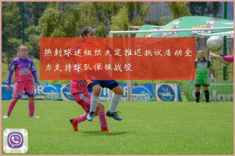 热刺球迷组织决定推迟抗议活动全力支持球队保级战役