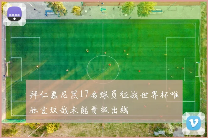 拜仁慕尼黑17名球员征战世界杯唯独金玟哉未能晋级出线