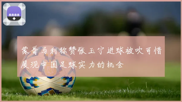 蒙哥马利称赞张玉宁进球被吹可惜展现中国足球实力的机会
